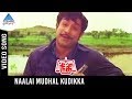 Needhi Tamil Movie Songs | Naalai Mudhal Kudikka Video Song | Sivaji Ganesan | Jayalalitha | MSV