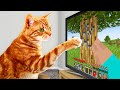 I Taught My Cats to Beat Minecraft in Real Life