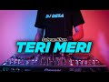TERI MERI - Salman Khan (DJ Desa)