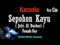 Sepohon Kayu (Karaoke) Jefri Al Buchori Nada Wanita/ Cewek/ Female key Cm
