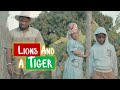 uDlamini YiStar Part 3   Lions And A Tiger Episode 01