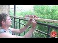 Download утепление парапета балкона без пеноблоков (32m 25s).