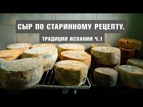 Как хранить сыр из козьего молока в домашних условиях