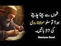 Maulana Rumi quotes in urdu | if you are sad listen to these quotes