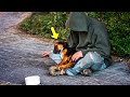 Vet Refuses To Help Homeless Man's Dog, Days Later Something Shocking Happens!