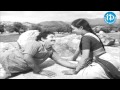 Maavi Chiguru Song - Seetha Mahalakshmi Movie Songs - ChandraMohan - Talluri Rameswari