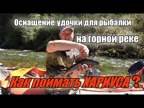 как и на что ловить хариуса на катуни как и на что ловить хариуса на катуни