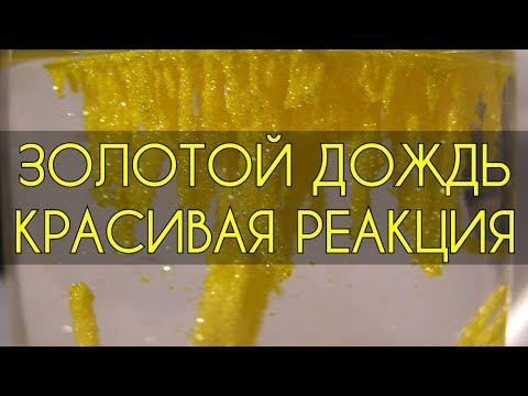 Люди которые связаны с сочный золотой дождь всегда готовы поделиться своим опытом
