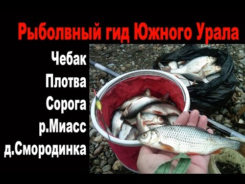 весной ловля чебака весной ловля чебака
