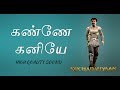 Kochadaiiyaan | Kanne kaniye lyrics | Tamil | ARR | Viramuthu