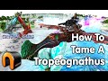 Ark HOW TO TAME A TROPEOGNATHUS Jet Fighter!