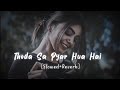 Thoda Sa Pyar Hua | Slowed Reverb | Lo-fi Song #slowreverb #lofisong #alkayagnik #uditnarayan