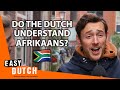 Do the Dutch Understand Afrikaans? | Easy Dutch 62