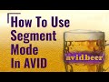 How To Use Segment Mode In AVID!
