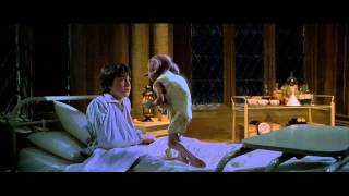 Harry Potter and the Chamber of Secrets