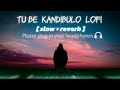 Tu bi  Kandibulo semiti part 2 | slow & reverb |         human sagar sad lofi song