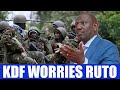 3 orders but silent, Shocking message from KDF badly worries Ruto