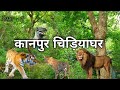 Kanpur Zoo | कानपुर चिड़ियाघर | Kanpur Zoological Park | Kanpur Utter Pradesh