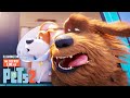 The Secret Life of Pets 2 | Max and Duke Go on a Road Trip!