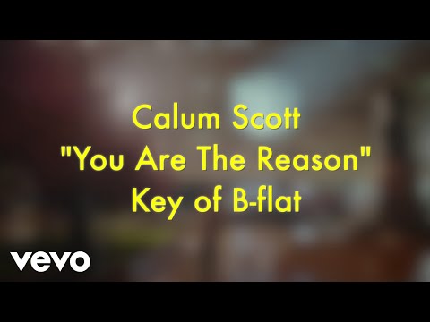 Download Calum Scott - You Are The Reason (Karaoke Version) free