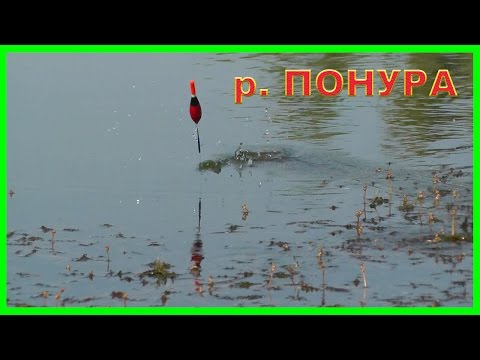 ловля на поплавок на реке ловля на поплавок на реке