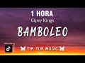 [1 HOUR] Gipsy Kings - Bamboléo (TikTok Song) (Letra/Lyrics)