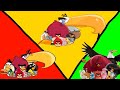 evolution of literally every angry bird that has one