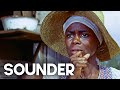 Sounder | Depression Era Family Drama | Classic Film