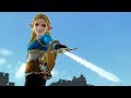 Hyrule Warriors (Switch) - All Character Victory Animations