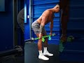 The PERFECT Barbell Row (5 Steps)