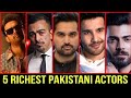 Top 5 | Richest Pakistani actors | Lollywood | (Hindi/Urdu)