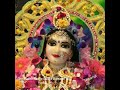 Shri Radhe Radhe Radhe Barsane Wali Radhe 🙏  Beautiful Radha Rani Bhajan.|VIPULMUSIC