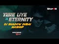 Tere Liye X Eternity | DJ Shadow Dubai Mashup | 2024 | Atif Aslam