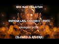 Sindoor Lal Chadayo (Slowed & Reverb) From Vaastav. | Mine Music Collection.