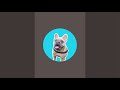 TJ The Frenchie is live