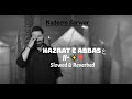 Hazrat E Abbas Slowed & Reverbed | Nadeem Sarwar | 2023 / 1445