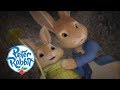 Peter Rabbit - The Wrong Rabbit Hole | Cartoons for Kids