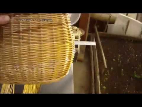 Плетение ивой видео уроки Плетение ивой видео уроки
