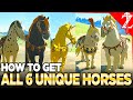 How to Get All 6 Unique Horses in Tears of the Kingdom