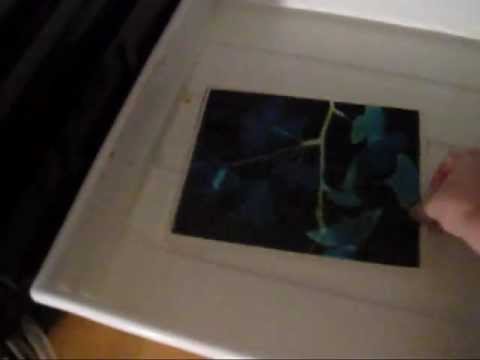 скачать color darkroom.