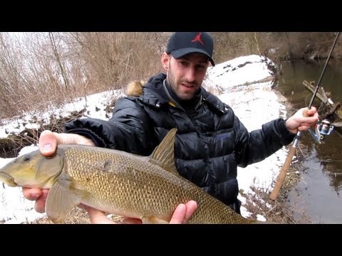 как ловить малки как ловить малки