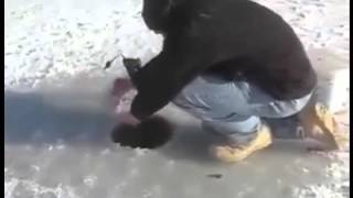 Картинки браконьеров с сетями зимой Картинки браконьеров с сетями зимой