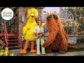 Sesame Street: Big Bird & Snuffy sing "Thats Why We Love Nature" with Brandi Carlile