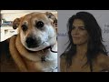 Angie Harmon Says Instacart Driver Fatally Shot Her Dog