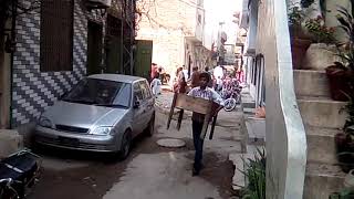 A Goat and Cow in Eid ul Azha