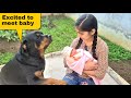Dog meeting baby for the first time||jerry's reaction video.