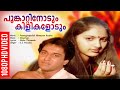 പൂങ്കാറ്റിനോടും കിളികളോടും | Evergreen Malayalam Film Song | HD Video Song | K. J. Yesudas