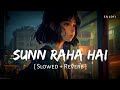 Sunn Raha Hai Na Tu Female (Slowed + Reverb) | Shreya Ghoshal | Aashiqui 2 | SR Lofi