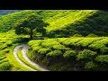 Peaceful Relaxing Instrumental Music, Quiet Soft Meditation Music "Highland Meadows" by Tim Janis