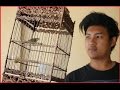 Download Pleci kayana harga 95 juta